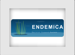 ENDEMICA - Decision Support System